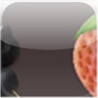 Memory Game Image
