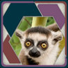 HexSaw - Zoo Image