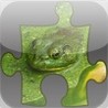 Frog Jig Image