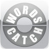 Words Catch Image