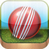 Cricket Manager Pro Image