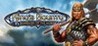 King's Bounty: Warriors of the North Image
