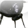 Cockroach Image