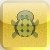 I Like Turtles Image