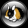 Rabbits for children Image