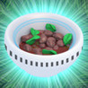 Magic Beans* Image