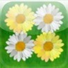 a Daisy Reversi ! Image