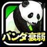 concentration panda Image