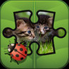 TurnPuzz - Kitty Image