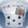 Cribbage Plunge Image