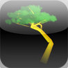Bonsai Shooting Image