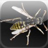 Swarm Image