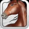 The Best Horse Race Image