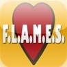 F.L.A.M.E.S. Image