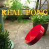 Real Pong (2013) Image