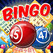 Amazing Falldown with a Bingo Ball PRO Image