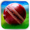 Cricket WorldCup Fever Deluxe Image