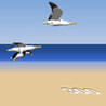 PenguinFly Image