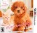 Nintendogs + Cats: Toy Poodle & New Friends Image