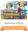 Family Table Tennis 3D Image