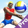 Beach Volley Pro Image