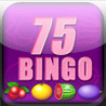Video Slot 75 Bingo Image