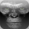 Brainzilla Image