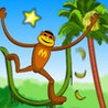 Spider Monkey Image