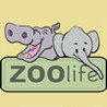 Zoolife Image