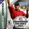 Tiger Woods PGA Tour Golf Image