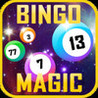 Bingo Magic (2013) Image