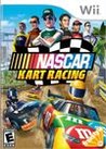 NASCAR Kart Racing Image