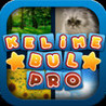 Kelime Bul Pro Image