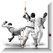 - Cricket - Image