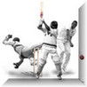 - Cricket - Image
