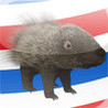 Porcupine Barbershop Image