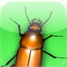 Debugger Image