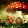 Hidden Magicland HD Image