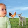 Imagier la ferme Image
