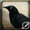 Munin Image