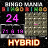 BINGO MANIA The Hybrid Image