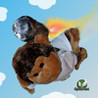 Turbo Monkey Image