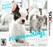 Nintendogs + Cats: French Bulldog & New Friends Image