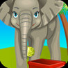 Amazon traffic balls PRO - Animal will thank you Image