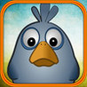 Chicken Eggs HD Image