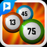 Bingo LIVE! Image