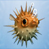 A Buoyancy Fish Image