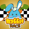 Rabbit Race Image