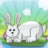 Rabbit Buster for iPad Image