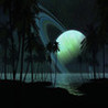 Soccer Ball Sling: Saturn Adventures Image